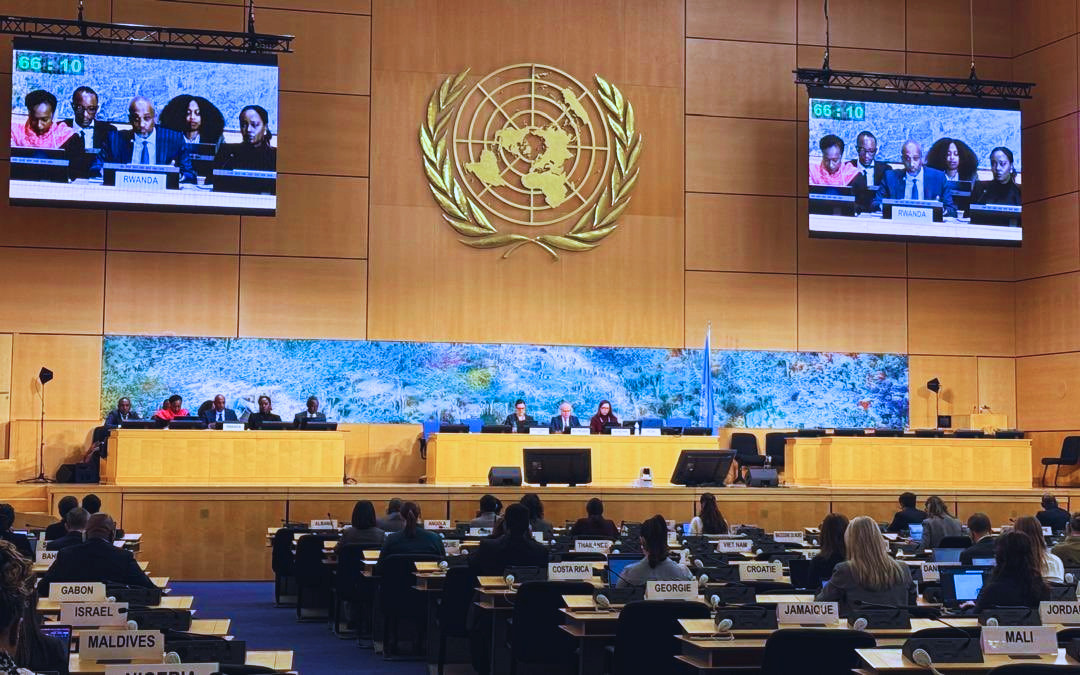 Human Rights Promotion and Protection